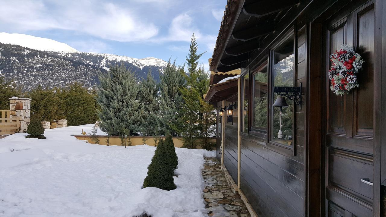 Mountain Chalet Livadi Arachova Exterior photo